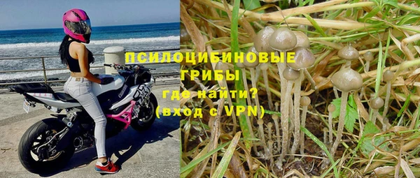 твердый Абинск