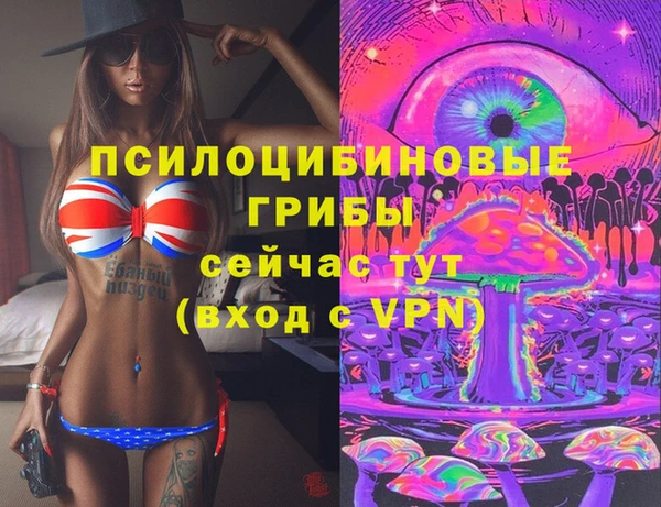 твердый Абинск