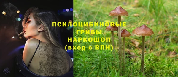 mix Абаза