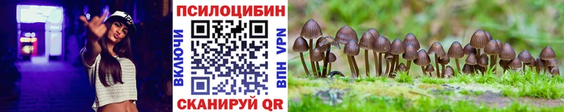 Псилоцибиновые грибы Magic Shrooms  kraken зеркало  Белоусово 